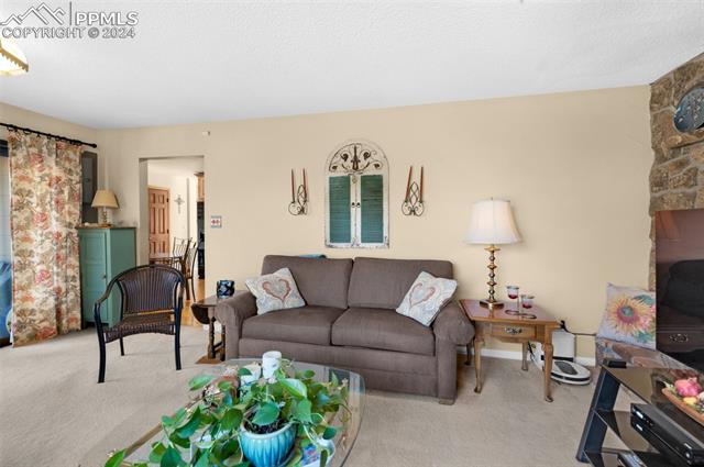 MLS Image for 6575  Arequa Ridge  ,Colorado Springs, Colorado