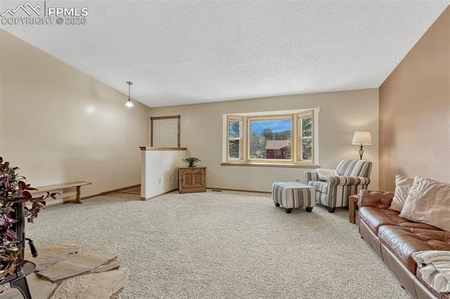 MLS Image for 1300  Thomas  ,Woodland Park, Colorado