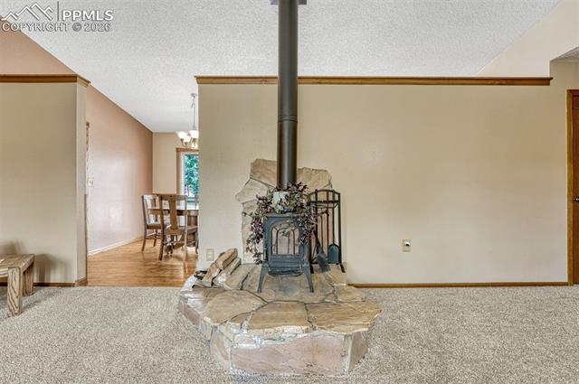 MLS Image for 1300  Thomas  ,Woodland Park, Colorado
