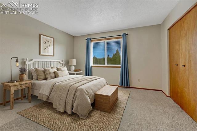 MLS Image for 1300  Thomas  ,Woodland Park, Colorado