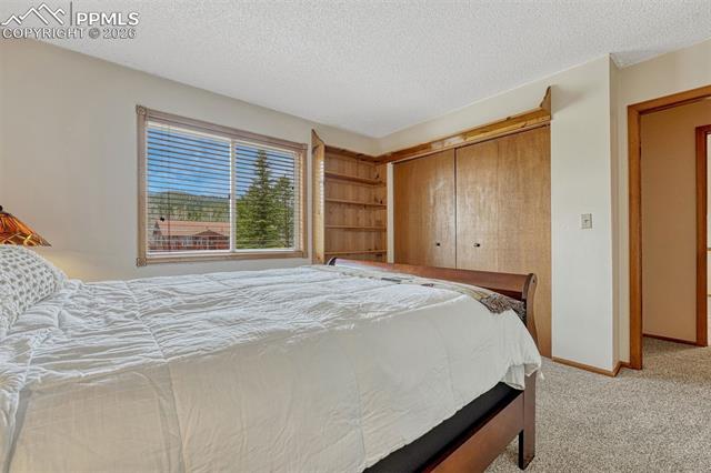 MLS Image for 1300  Thomas  ,Woodland Park, Colorado