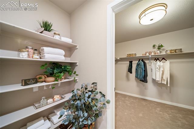 MLS Image for 4857  Eddleman  ,Colorado Springs, Colorado