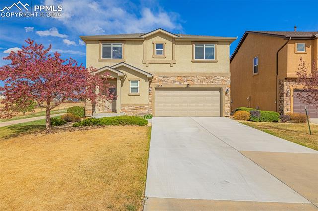11633  Black Maple  , colorado springs&nbsp; House Search MLS Picture
