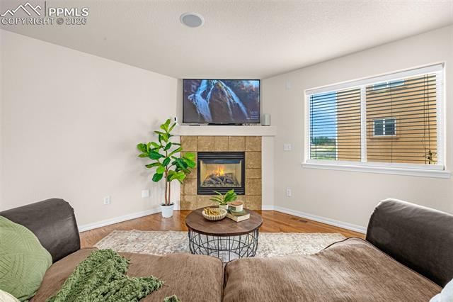 MLS Image for 11633  Black Maple  ,Colorado Springs, Colorado