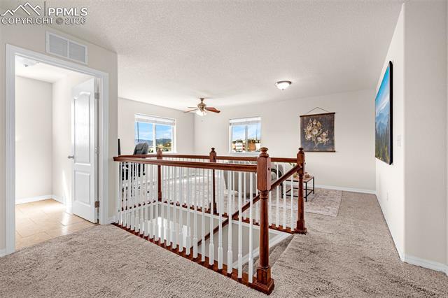 MLS Image for 11633  Black Maple  ,Colorado Springs, Colorado