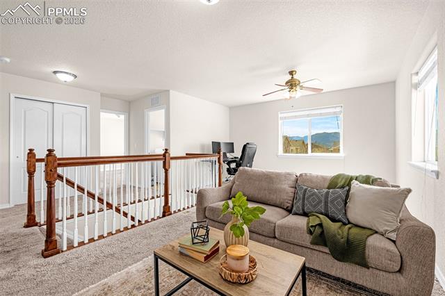 MLS Image for 11633  Black Maple  ,Colorado Springs, Colorado