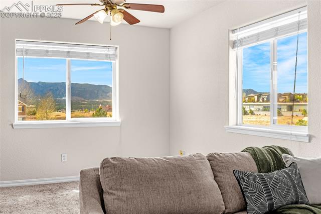 MLS Image for 11633  Black Maple  ,Colorado Springs, Colorado