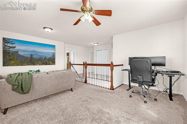 MLS Image for 11633  Black Maple  ,Colorado Springs, Colorado