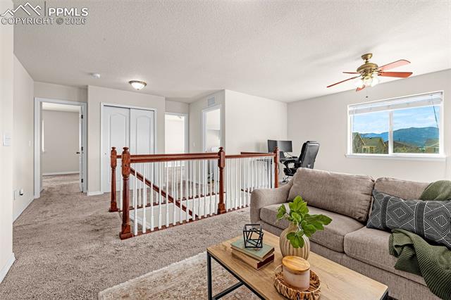 MLS Image for 11633  Black Maple  ,Colorado Springs, Colorado