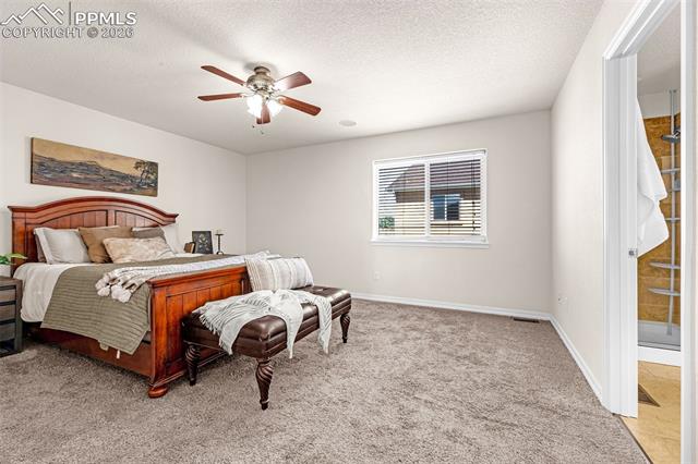 MLS Image for 11633  Black Maple  ,Colorado Springs, Colorado
