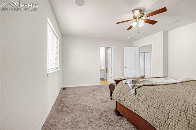 MLS Image for 11633  Black Maple  ,Colorado Springs, Colorado
