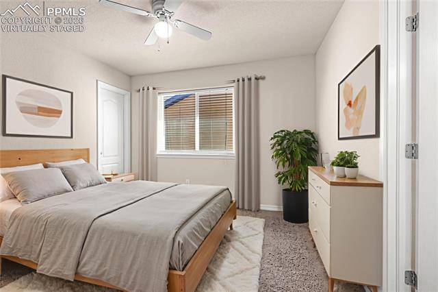 MLS Image for 11633  Black Maple  ,Colorado Springs, Colorado