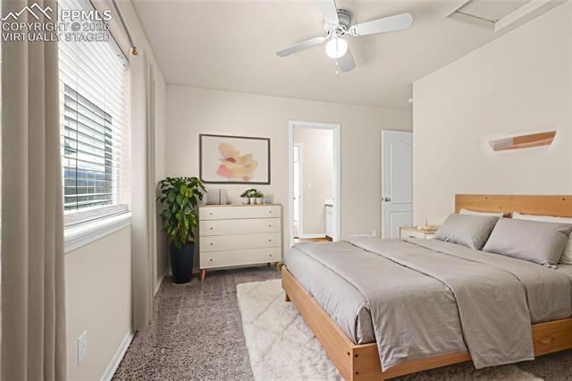 MLS Image for 11633  Black Maple  ,Colorado Springs, Colorado
