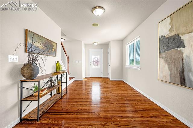 MLS Image for 11633  Black Maple  ,Colorado Springs, Colorado