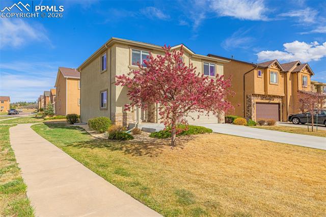 MLS Image for 11633  Black Maple  ,Colorado Springs, Colorado