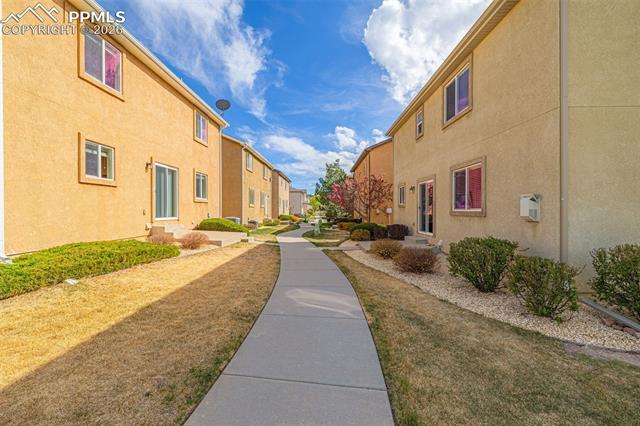 MLS Image for 11633  Black Maple  ,Colorado Springs, Colorado