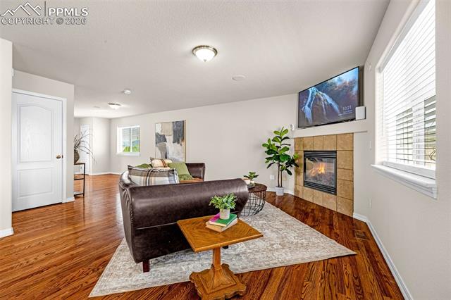 MLS Image for 11633  Black Maple  ,Colorado Springs, Colorado