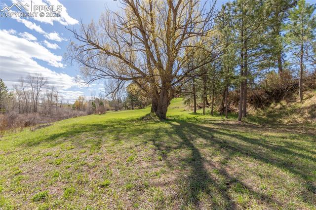 MLS Image for 721  Forest View  ,Monument, Colorado