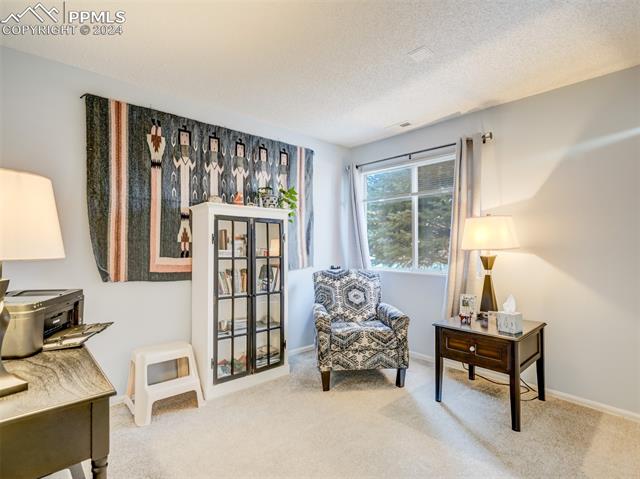 MLS Image for 842  Tenderfoot Hill  1 ,Colorado Springs, Colorado