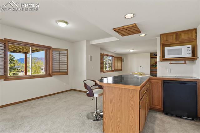 MLS Image for 937  Caribou  ,Monument, Colorado