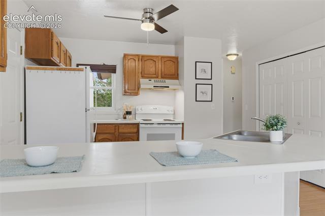 MLS Image for 961  Columbine  ,Colorado Springs, Colorado