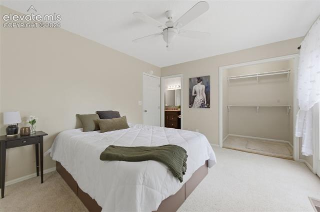 MLS Image for 961  Columbine  ,Colorado Springs, Colorado