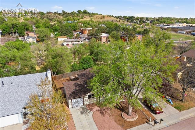 MLS Image for 961  Columbine  ,Colorado Springs, Colorado