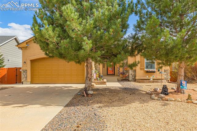 MLS Image for 12231  Sleeping Bear  ,Peyton, Colorado