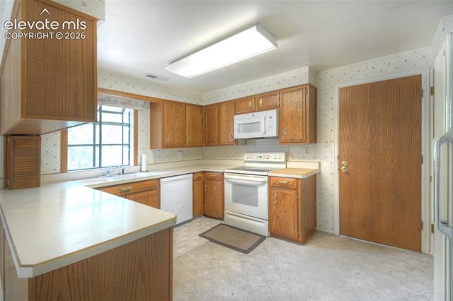 MLS Image for 3007  Chelton  ,Colorado Springs, Colorado