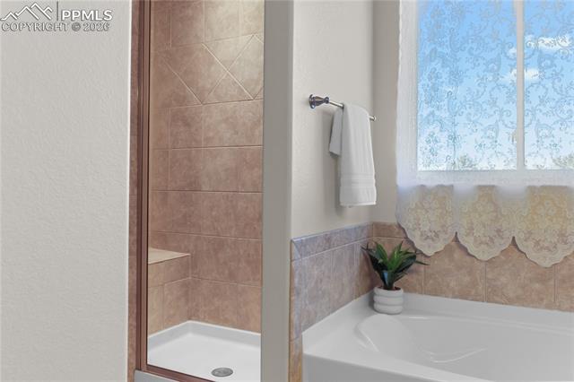 MLS Image for 17529  Old Cherokee  ,Colorado Springs, Colorado