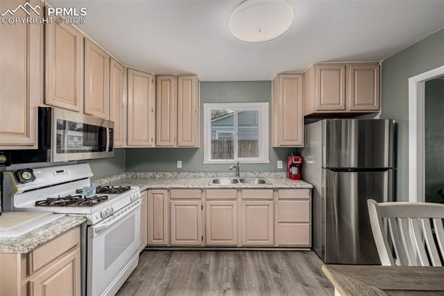 MLS Image for 1129  Montrose  ,Colorado Springs, Colorado