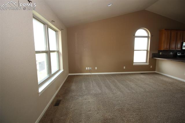 MLS Image for 145  Aspen  ,Divide, Colorado