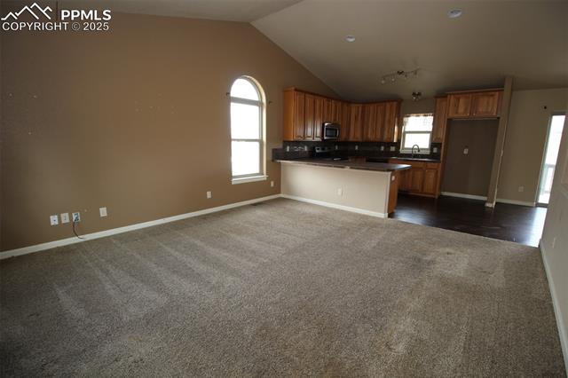 MLS Image for 145  Aspen  ,Divide, Colorado