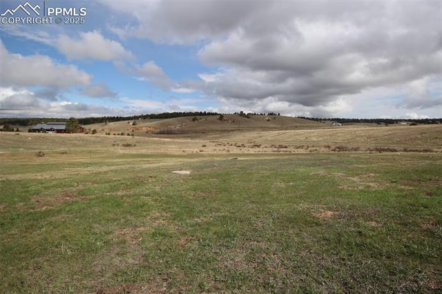 MLS Image for 145  Aspen  ,Divide, Colorado