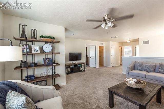 MLS Image for 8343  Noreen Falls  ,Colorado Springs, Colorado