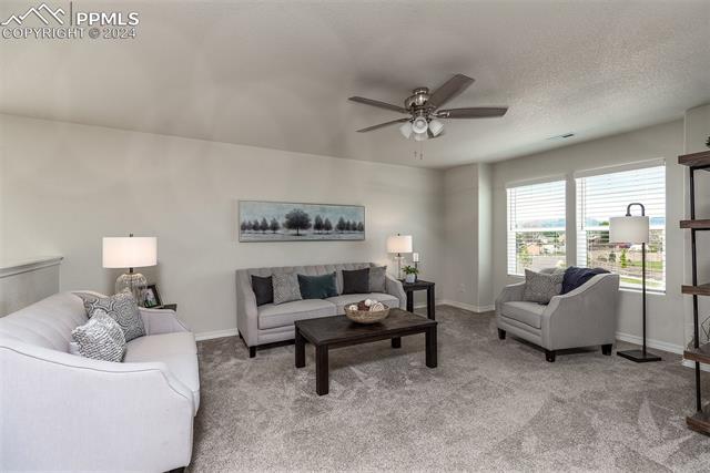 MLS Image for 8343  Noreen Falls  ,Colorado Springs, Colorado