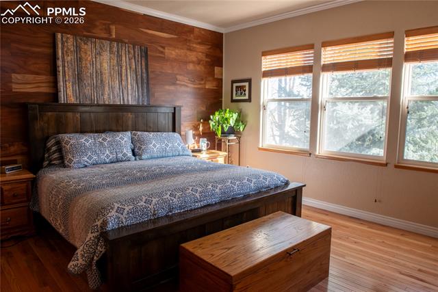 MLS Image for 7331  Corsicana  ,Colorado Springs, Colorado