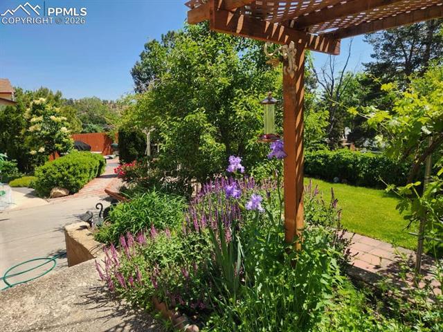 MLS Image for 2411  Providence  ,Colorado Springs, Colorado