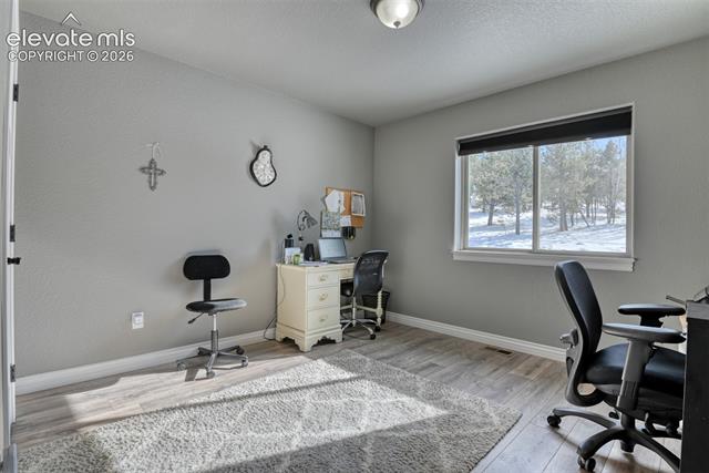 MLS Image for 24  Big Horn  ,Florissant, Colorado