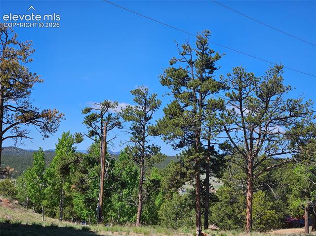 MLS Image for 24  Big Horn  ,Florissant, Colorado