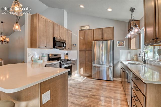 MLS Image for 24  Big Horn  ,Florissant, Colorado