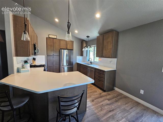 MLS Image for 24  Big Horn  ,Florissant, Colorado