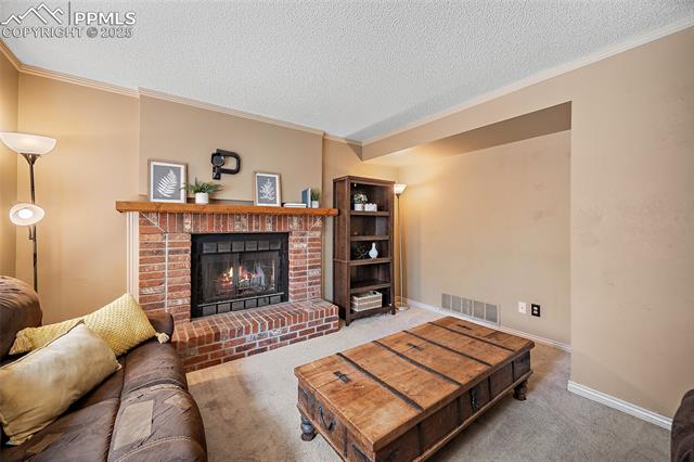 MLS Image for 8545  Salsifa  ,Colorado Springs, Colorado