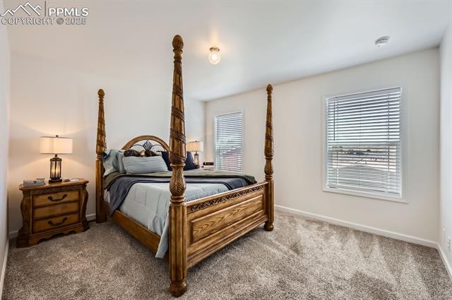MLS Image for 4157  Gray Fox  ,Colorado Springs, Colorado