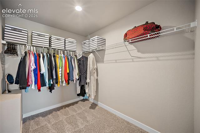 MLS Image for 3938  Ryedale  ,Colorado Springs, Colorado