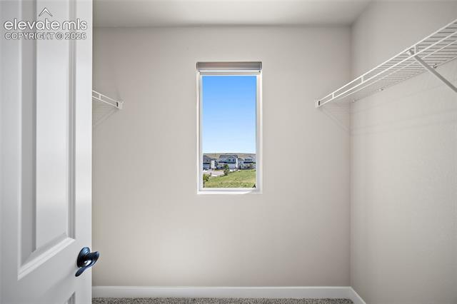 MLS Image for 3938  Ryedale  ,Colorado Springs, Colorado