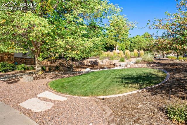 MLS Image for 5920  Ridge Brook  ,Colorado Springs, Colorado