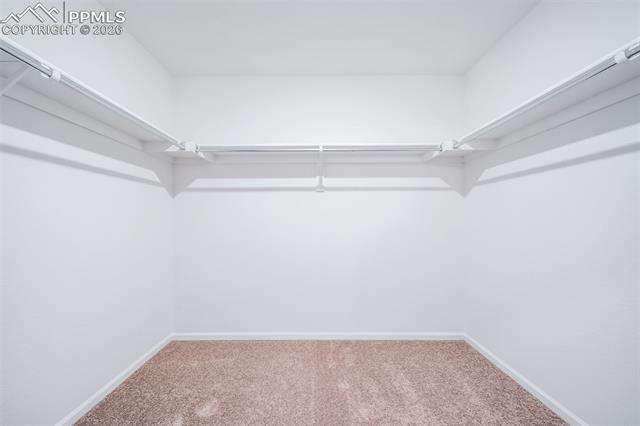 MLS Image for 4913  Eddleman  ,Colorado Springs, Colorado