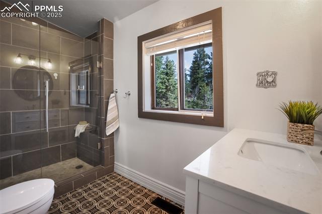 MLS Image for 131  Aspen  ,Woodland Park, Colorado