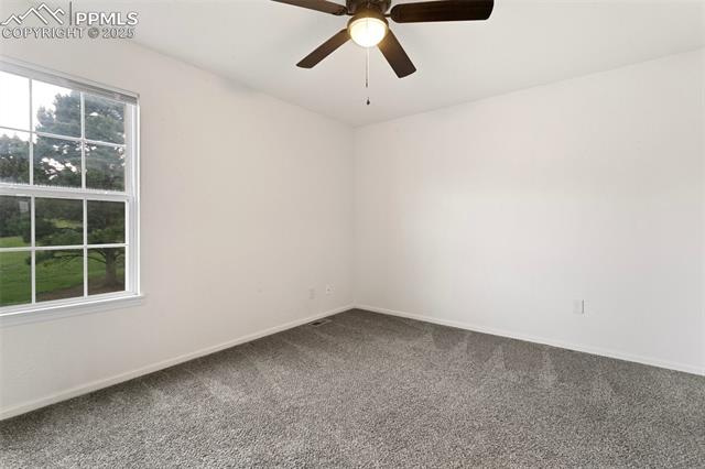 MLS Image for 3459  Queen Anne   ,Colorado Springs, Colorado